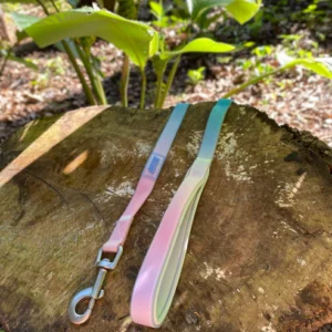 Coleção Gelatina Guia impermeável e suave para cachorro - Macaron