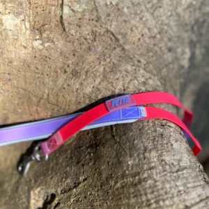 Coleção Gelatina Guia impermeável e suave para cachorro- Sunset