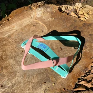 Coleção Gelatina Peitoral impermeável e antipuxão para cachorro- Macaron