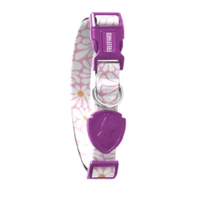 Coleira Groovy para Cães