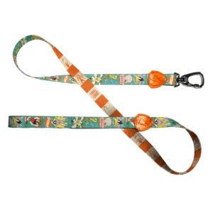 Guia 2m Looney Tunes para Cães