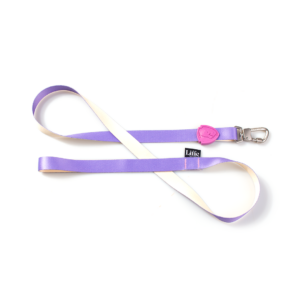 Guia Tradicional Aurora para Cães