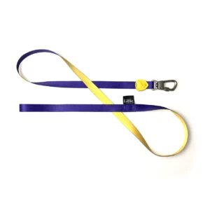 Guia Tradicional Game