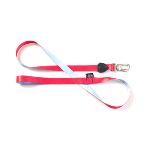 Guia Tradicional Imaginário para Cães