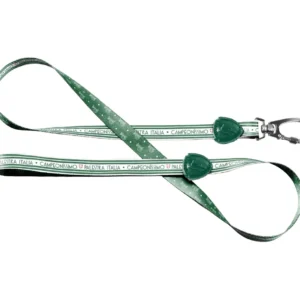 Guia Tradicional Palmeiras Histórico para Cães