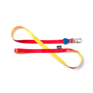 Guia Tradicional Recreio para Cães