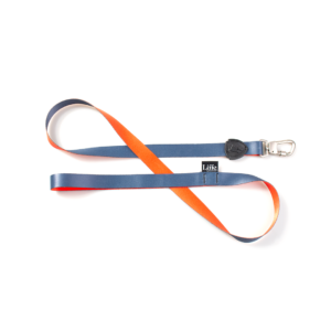 Guia Tradicional Urbano para Cães