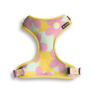 Peitoral Air Floral para Cães