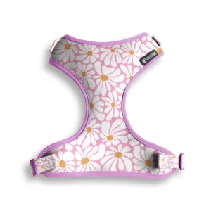 Peitoral Air Groovy para Cães