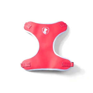 Peitoral Air Imaginário para Cães