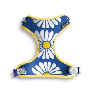 Peitoral Air Margarida para Cães
