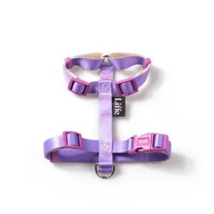 Peitoral H Aurora para Cães