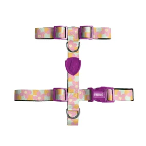 Peitoral H Floral para Cães