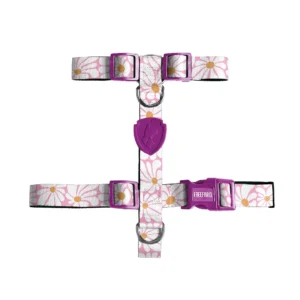 Peitoral H Groovy para Cães