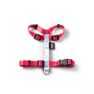 Peitoral H Imaginário para Cães