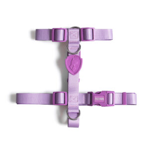 Peitoral H Lilac para Cães