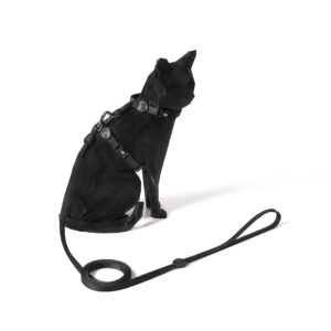 Peitoral com Guia Darkest para Gatos