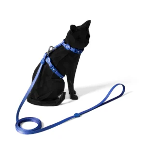Peitoral com Guia Flat Total Blue para Gatos
