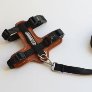 Petta Kit Peitoral H para cachorros pequenos ou gatos - Preta Rocha