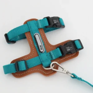 Petta Kit Peitoral H para cachorros pequenos ou gatos - Verde Lago