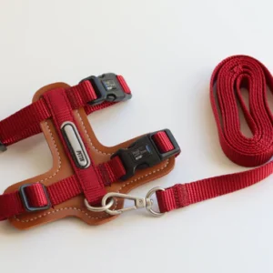 Petta Kit Peitoral H para cachorros pequenos ou gatos - Vermelho Borgonha